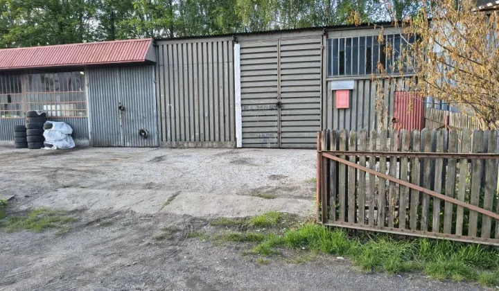 Hala/magazyn Sosnowiec, ul. Modrzewiowa