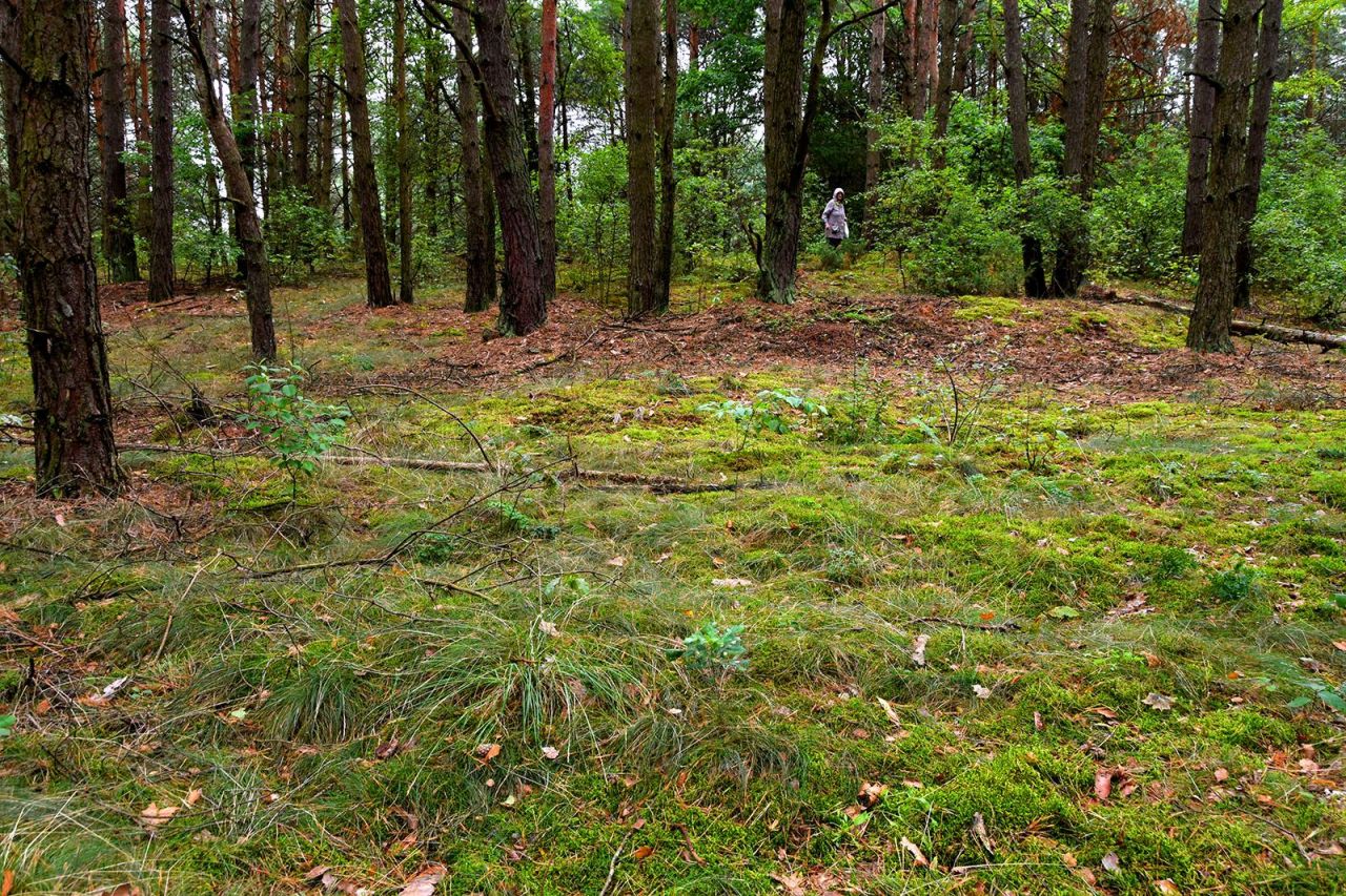 Działka budowlana Turna Duża. Zdjęcie 13