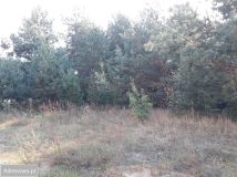 Działka budowlana Osowicze. Zdjęcie 1