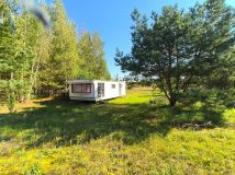 Działka siedliskowa Pełty