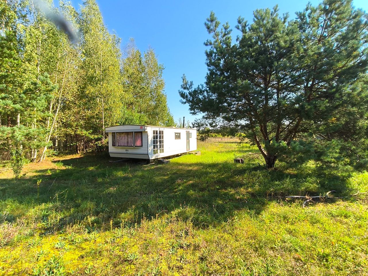 Działka siedliskowa Pełty