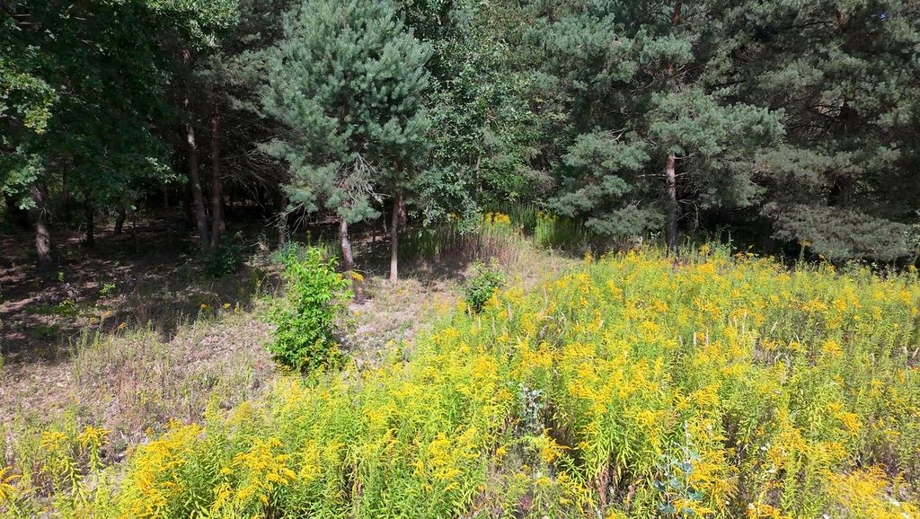 Działka budowlana Kady. Zdjęcie 7