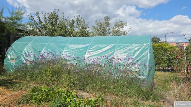 Działka rod Kędzierzyn-Koźle Kuźniczka, ul. Grunwaldzka. Zdjęcie 2