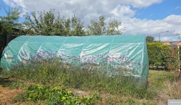 Działka rod Kędzierzyn-Koźle Kuźniczka, ul. Grunwaldzka