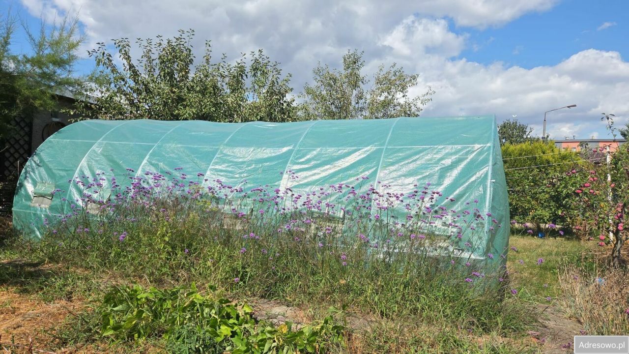 Działka rod Kędzierzyn-Koźle Kuźniczka, ul. Grunwaldzka. Zdjęcie 2