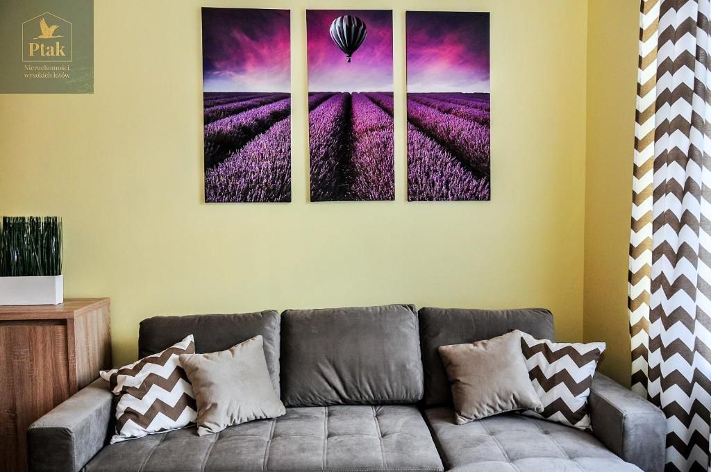 Lokal Krynica-Zdrój, ul. Zielona. Zdjęcie 12