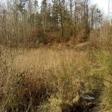 Działka budowlana Gdynia Chwarzno-Wiczlino, ul. Śliska. Zdjęcie 2