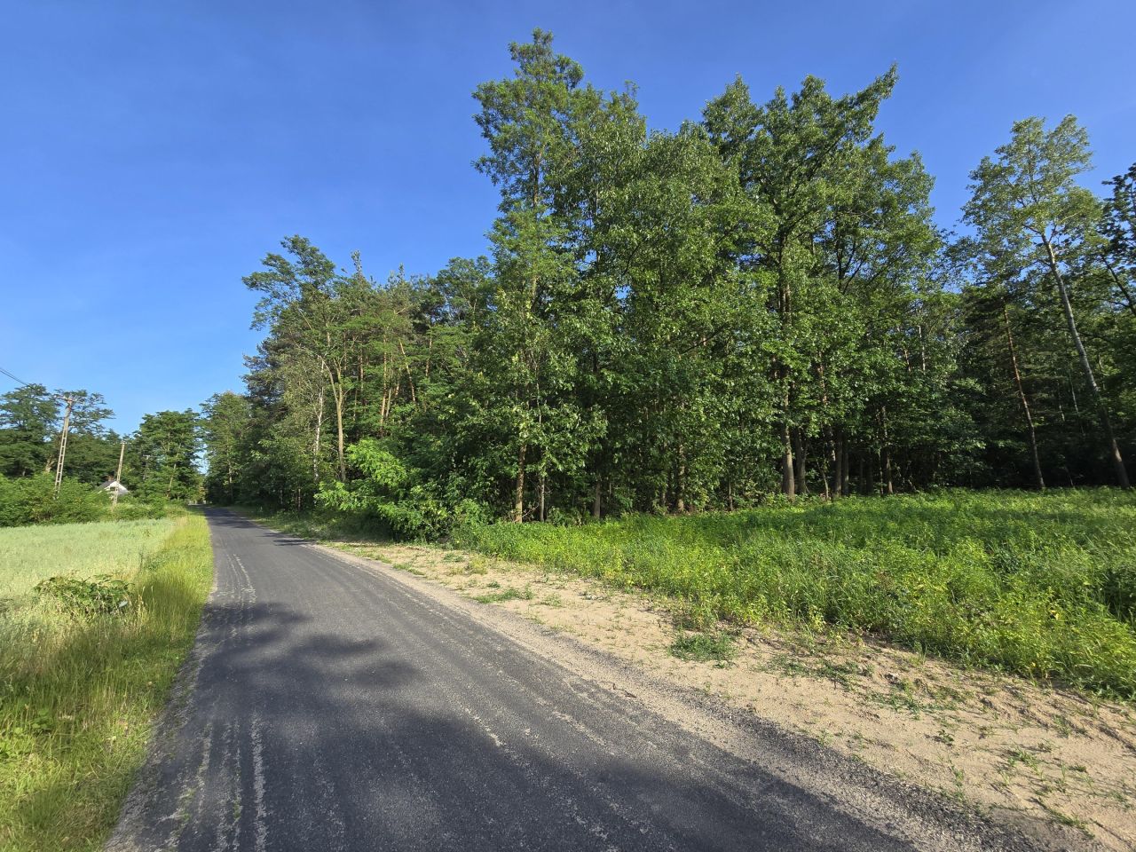 Działka budowlana Powązki, ul. Dębowa. Zdjęcie 3