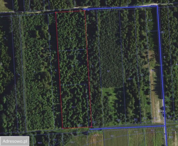 Działka budowlana Siedliska. Zdjęcie 1