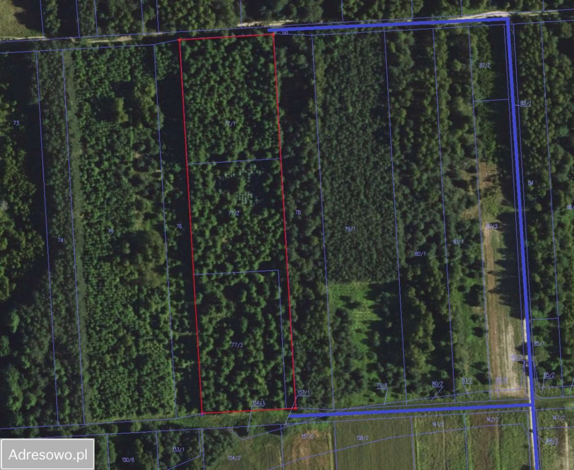 Działka budowlana Siedliska. Zdjęcie 1