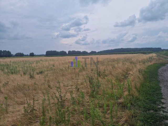 Działka budowlana Miłocice. Zdjęcie 1