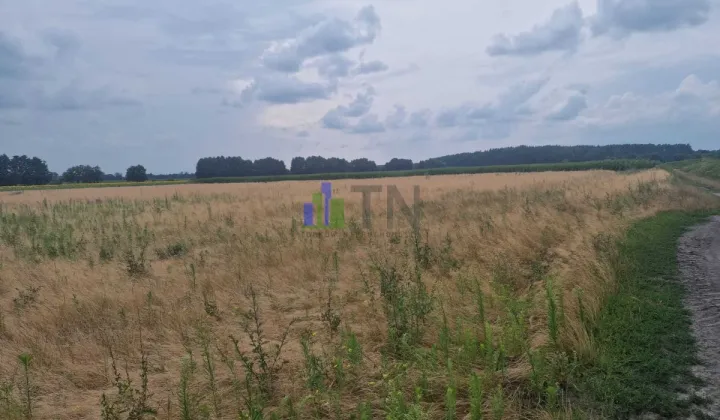 Działka budowlana Miłocice