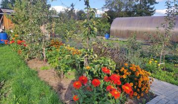 Działka rod Warszawa Włochy, ul. Paluch