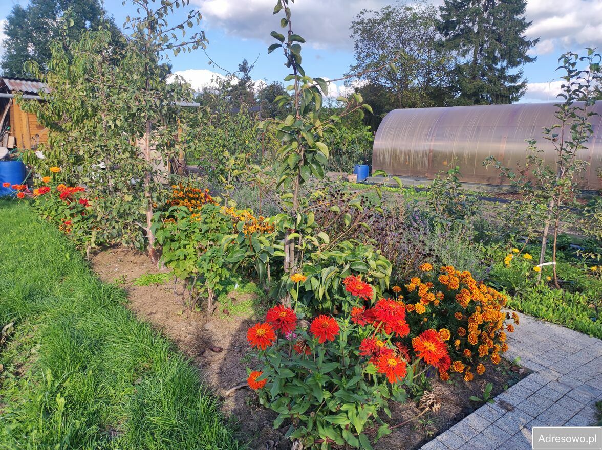 Działka rod Warszawa Włochy, ul. Paluch. Zdjęcie 2