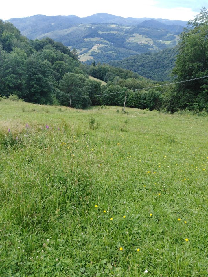 Działka rolna Kokuszka Gronik. Zdjęcie 6