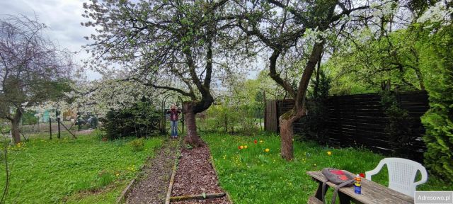 Działka rekreacyjna Szczecin. Zdjęcie 1