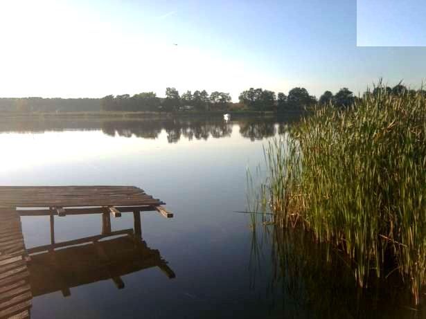 Działka inwestycyjna Grójec Mały. Zdjęcie 3