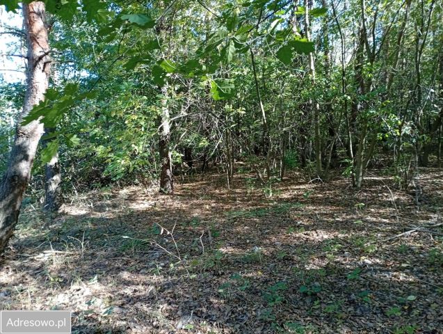 Działka Ratoszyn Pierwszy. Zdjęcie 1