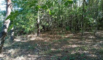 Działka Ratoszyn Pierwszy