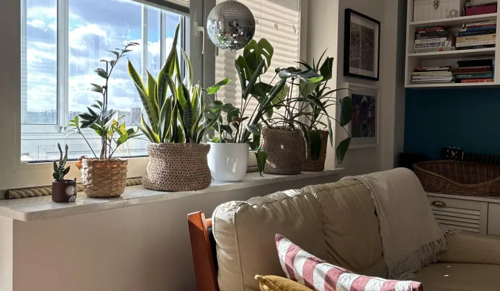 Mieszkanie 4-pokojowe Gdańsk Zaspa, al. Jana Pawła II