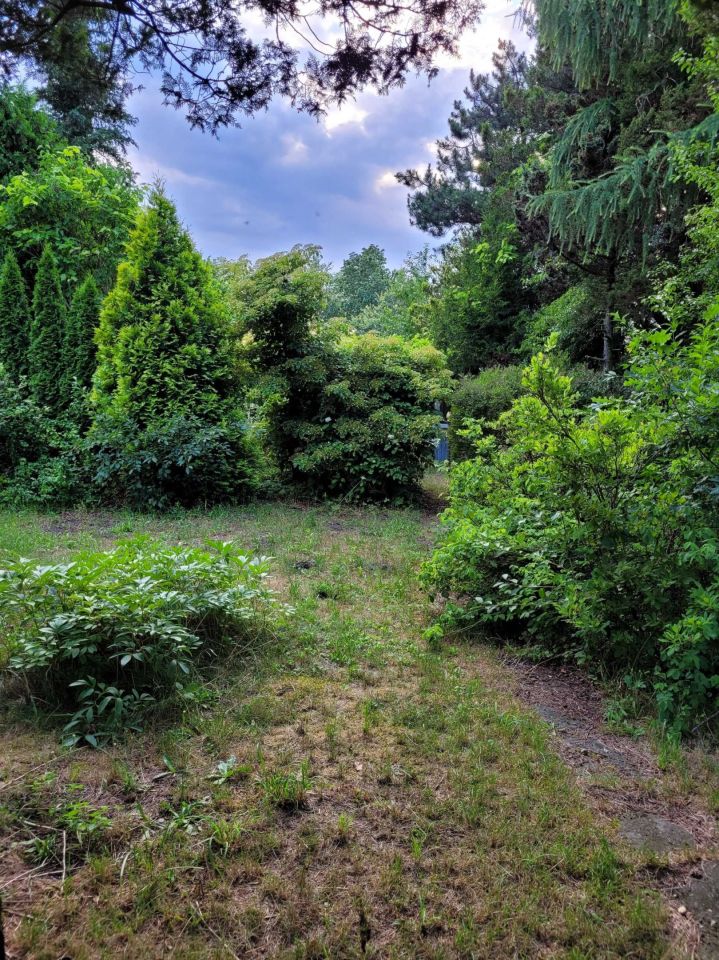 Działka rod Łódź Widzew, ul. Pszczyńska. Zdjęcie 8