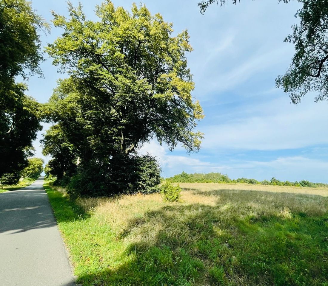 Działka budowlana Sichów Duży. Zdjęcie 2