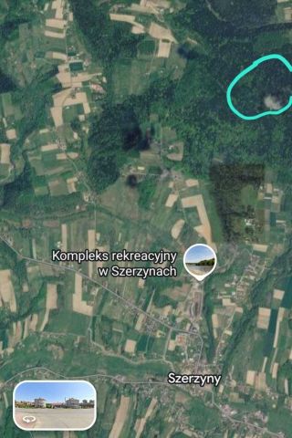 Działka leśna Czermna. Zdjęcie 1