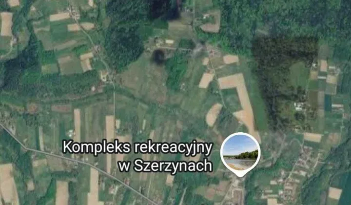 Działka leśna Czermna