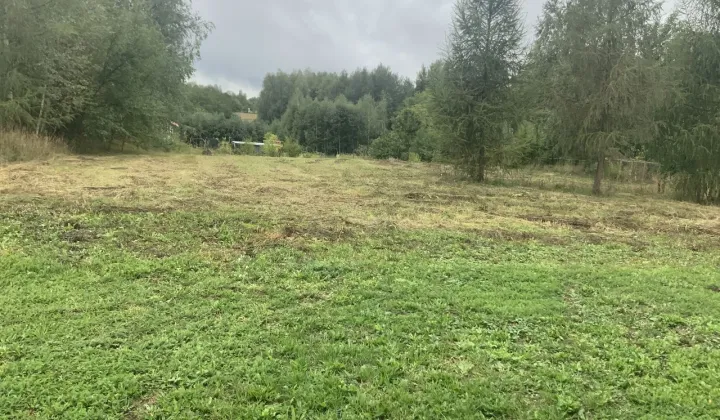 Działka budowlana Leżajsk, ul. Fiołkowa