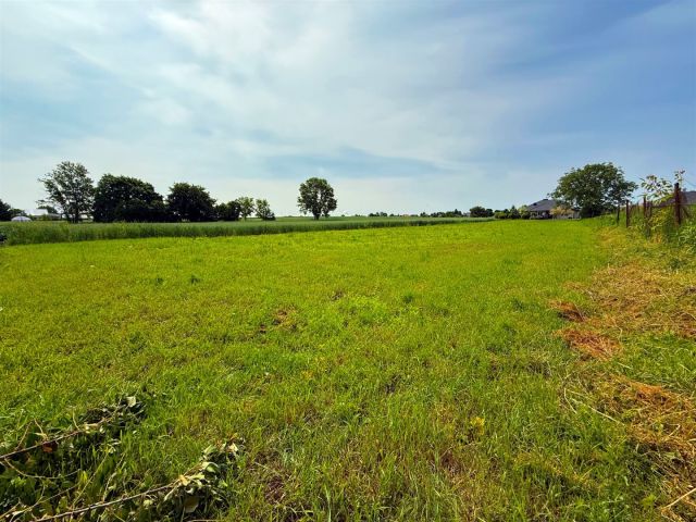 Działka budowlana Franciszków. Zdjęcie 5