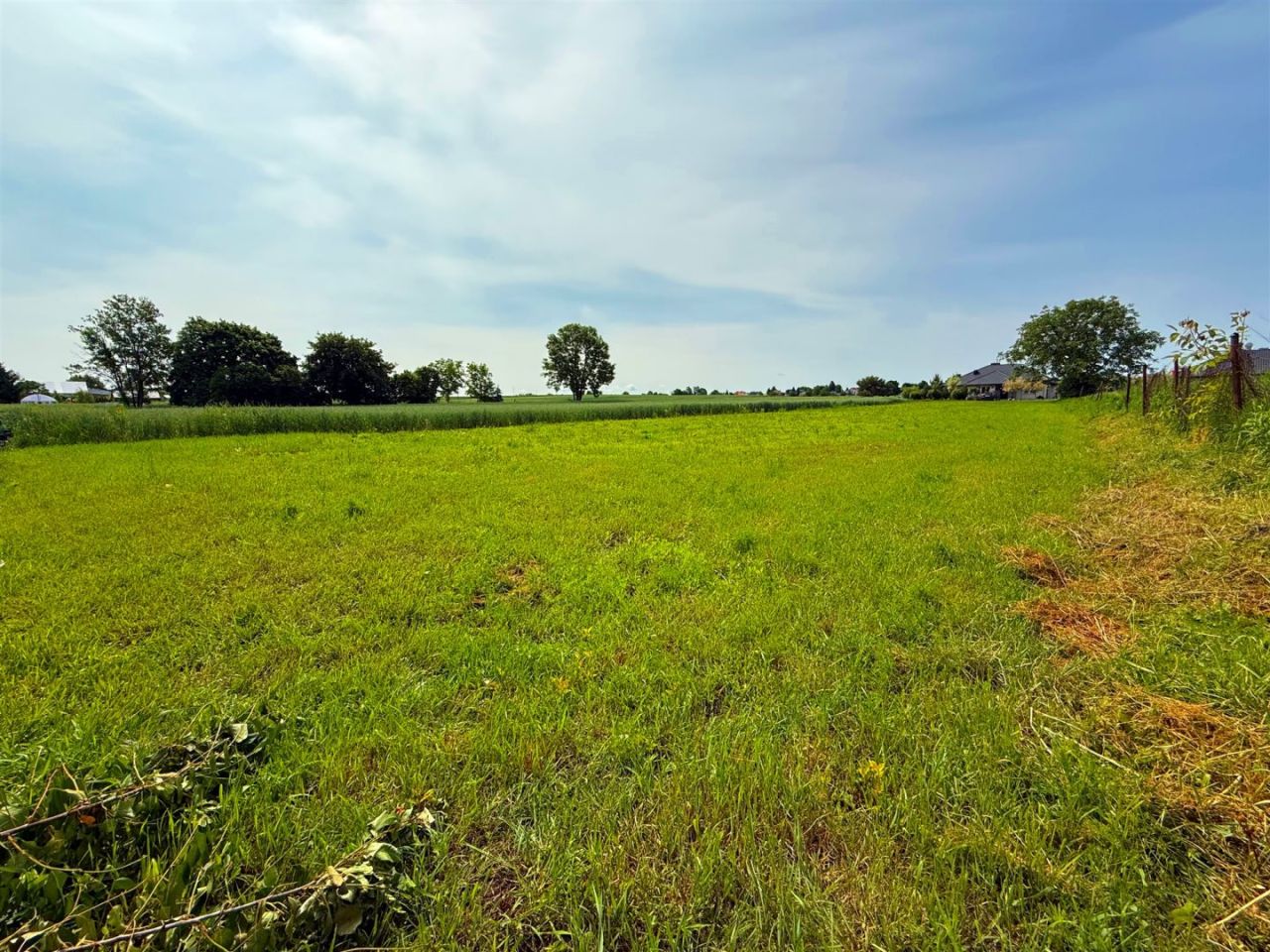 Działka budowlana Franciszków. Zdjęcie 5