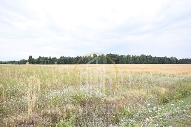 Działka siedliskowa Górka. Zdjęcie 2