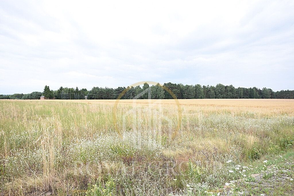 Działka siedliskowa Górka. Zdjęcie 2