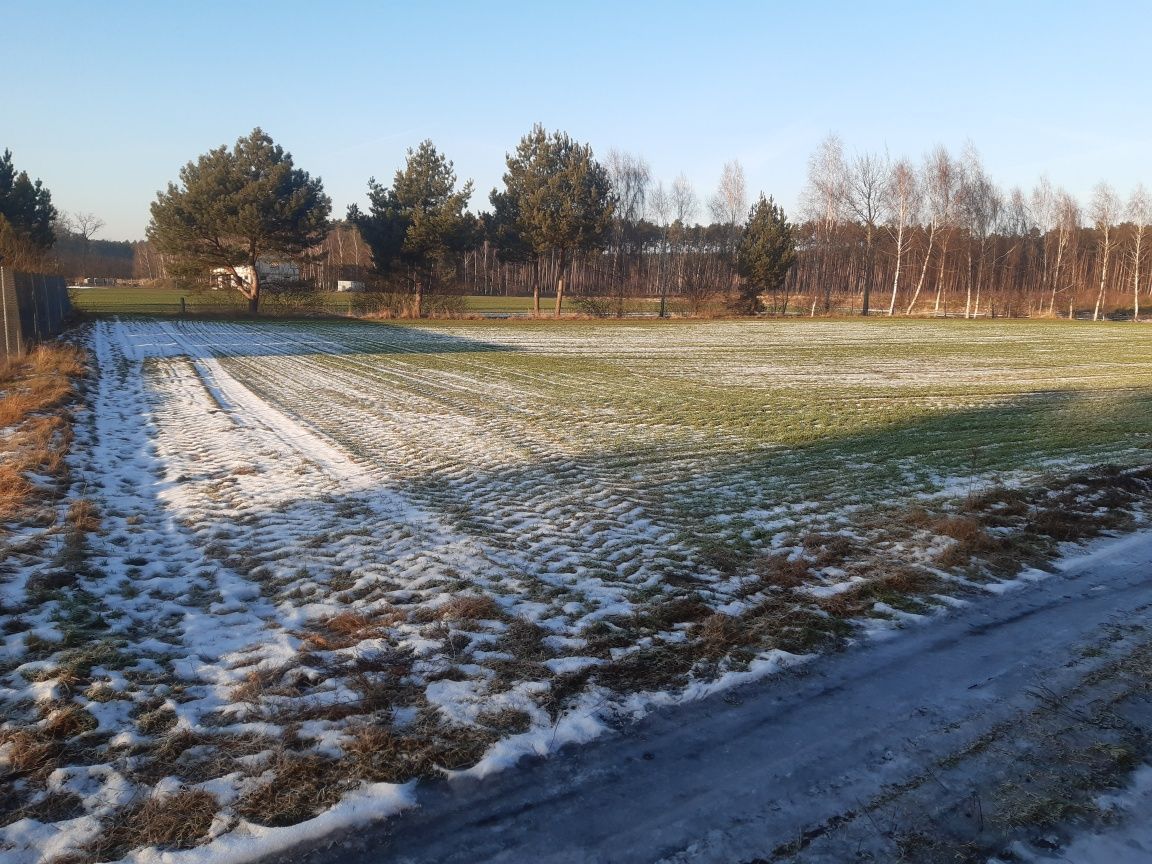 Działka budowlana Stefanowo. Zdjęcie 6