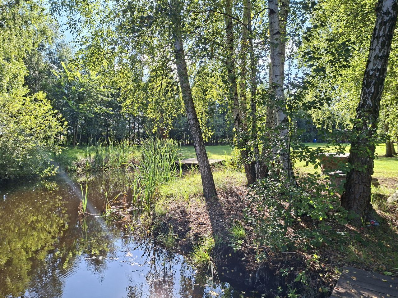 Działka budowlana Starzykowo. Zdjęcie 12