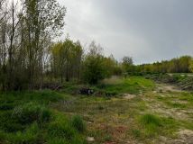 Działka rolna Kolsko, Kolsko. Zdjęcie 1