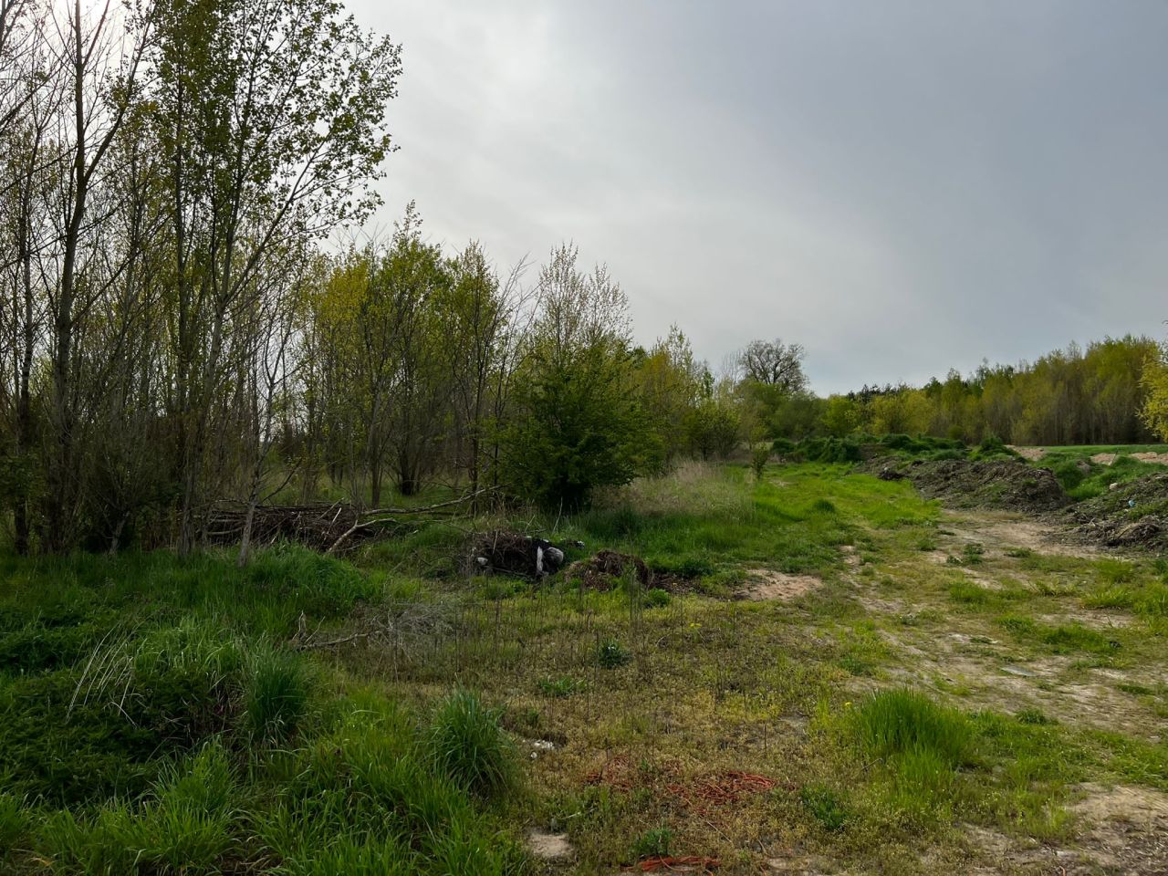 Działka rolna Kolsko, Kolsko. Zdjęcie 2