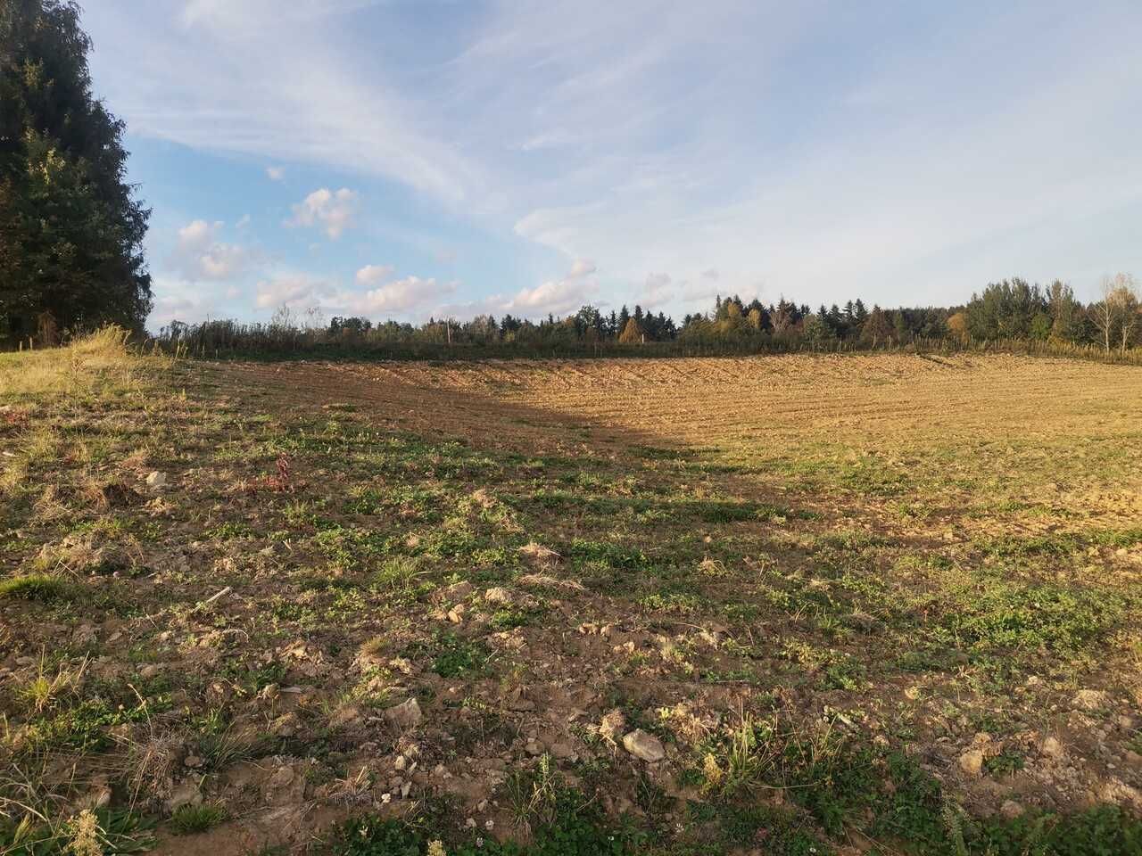 Działka rolno-budowlana Zalasowa. Zdjęcie 3