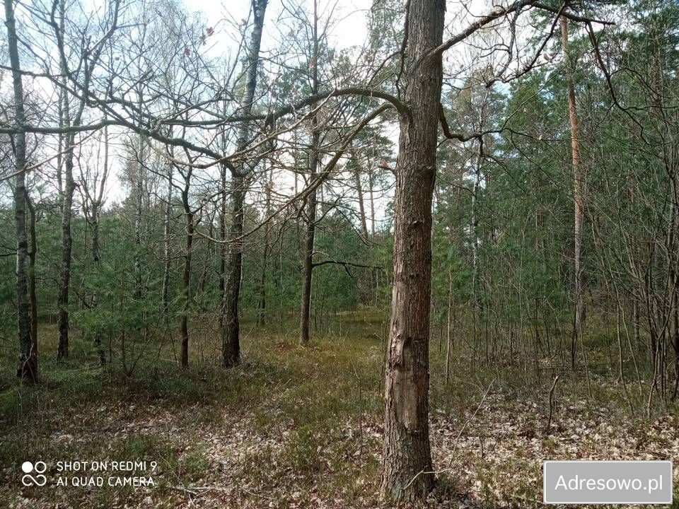 Działka rolna Jawor. Zdjęcie 3