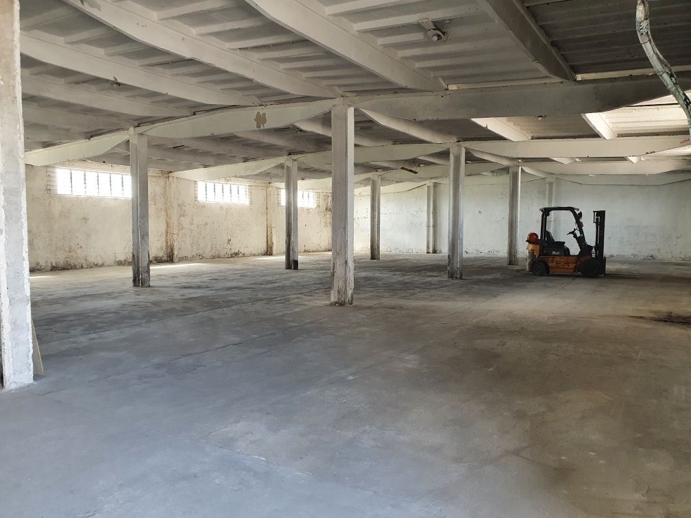 Hala/magazyn Glinojeck. Zdjęcie 3