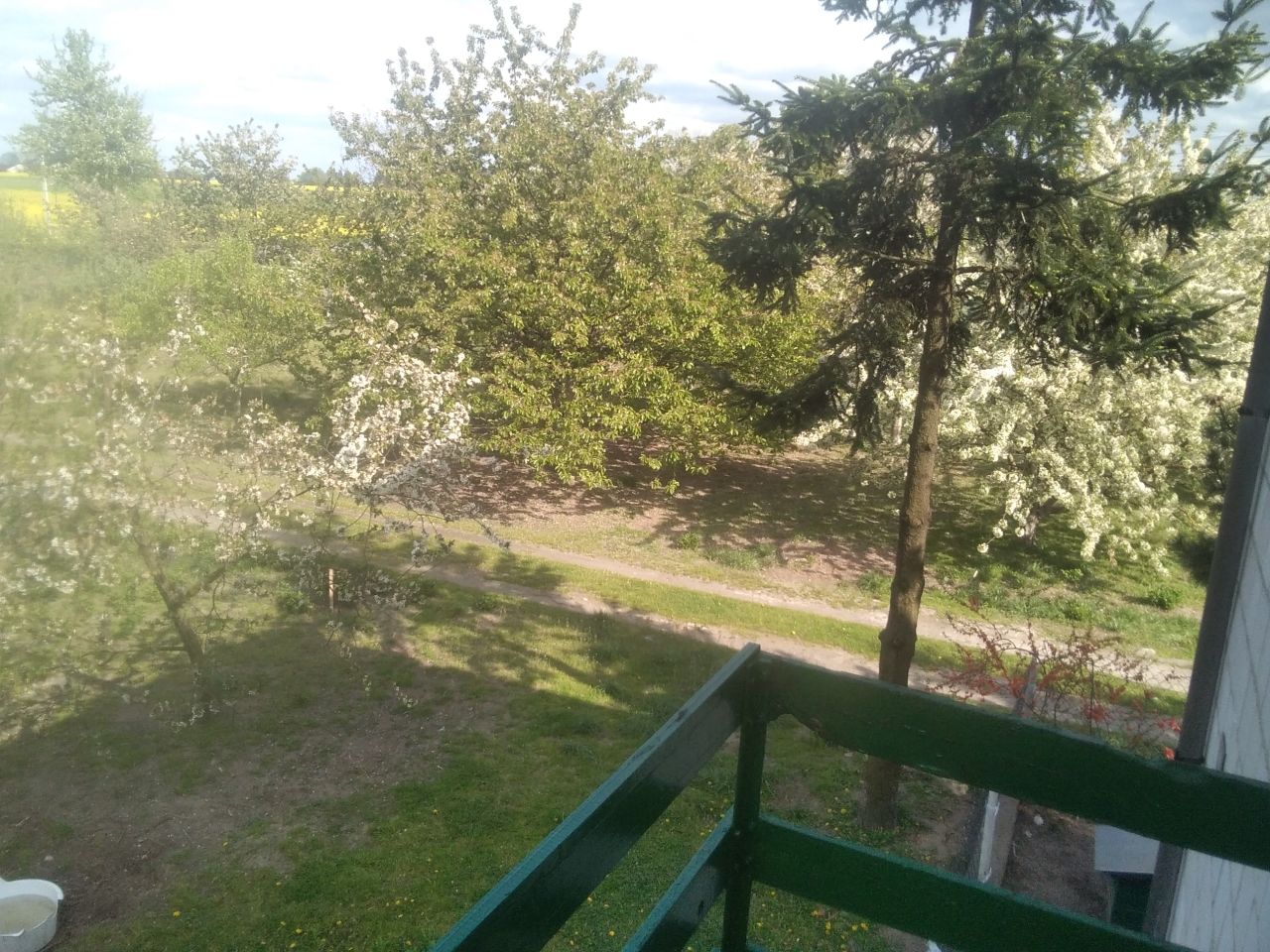 gospodarstwo, 4 pokoje Helenów. Zdjęcie 8