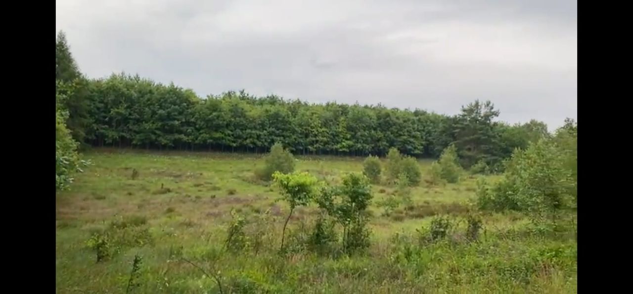 Działka rolna Unieszyno Unieszyniec. Zdjęcie 2