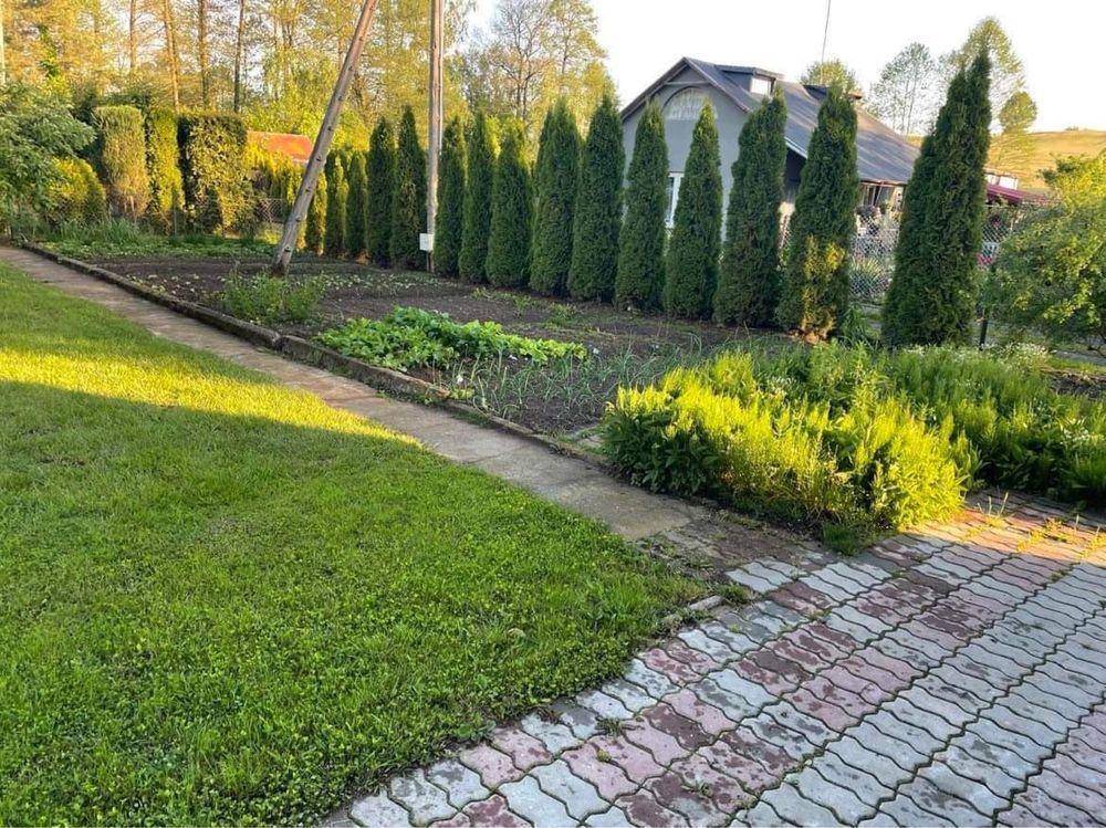 Działka rod Rypin. Zdjęcie 2