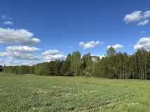 Działka rolno-budowlana Lipiny. Zdjęcie 2