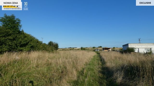 Działka rolna Kamieniec. Zdjęcie 7