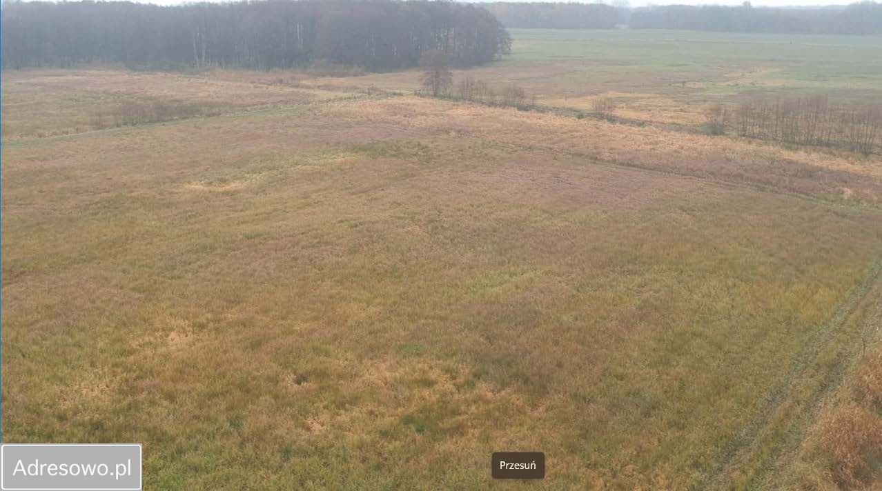 Działka rolna Ostrzyca. Zdjęcie 2