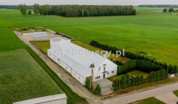 Lokal Koziki-Jałbrzyków Stok