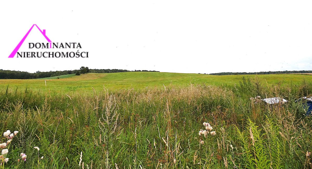 Działka rolna Gronowo. Zdjęcie 13