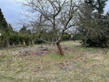 Działka rod Międzychód, ul. Napoleona Rutkowskiego. Zdjęcie 2