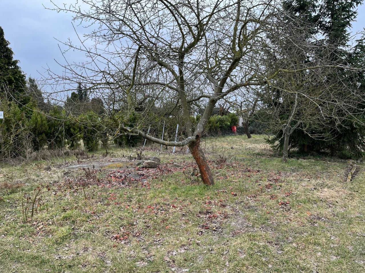 Działka rod Międzychód, ul. Napoleona Rutkowskiego. Zdjęcie 3